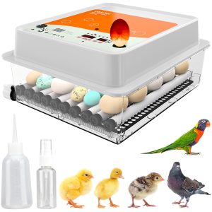 incubadoras para aves