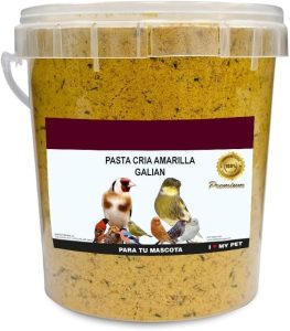 Pasta cría amarilla