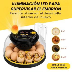 incubadora de huevos