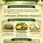 alimentación jilguero