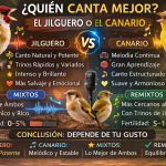 Canto del Jilguero
